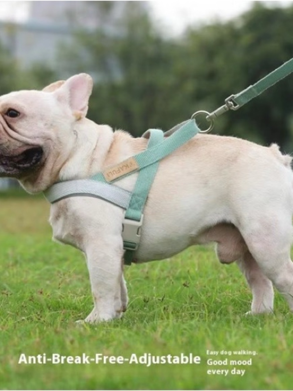 Adjustable Sage Green and Light Gray Dog Harness with Matching Leash